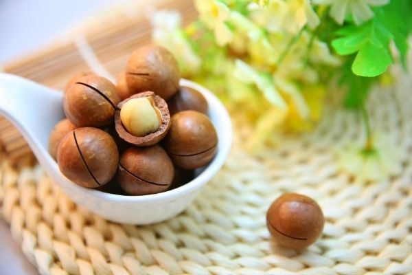 10 món ngon từ hạt macca nữ hoàng hạt dinh dưỡng dễ làm tại nhà