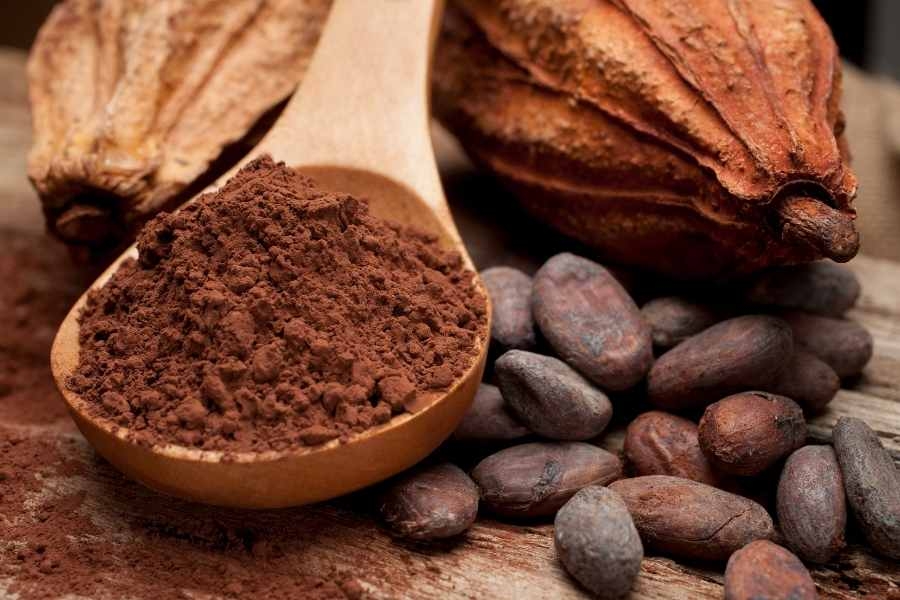 Bột cacao nguyên chất mua ở đâu?